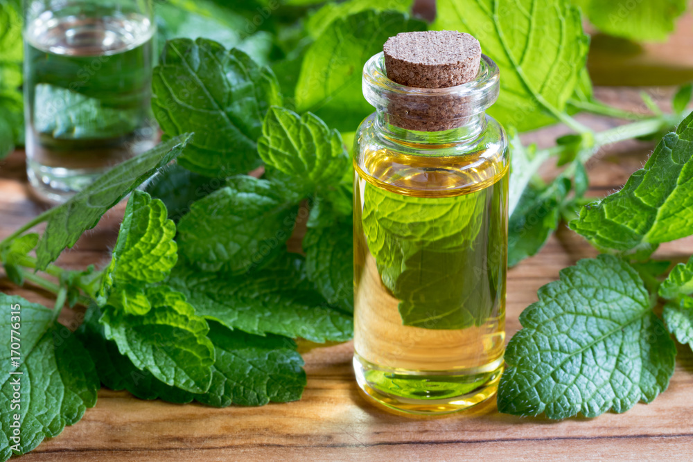 A bottle of melissa essential oil with fresh melissa leaves A bottle of melissa essential oil with fresh melissa leaves