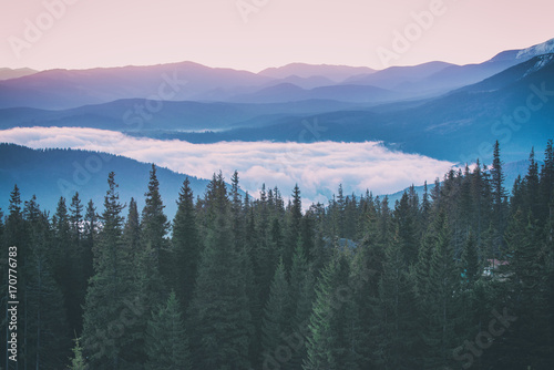 Fototapeta Naklejka Na Ścianę i Meble -  Foggy morning landscape with mountain range and fir forest in hipster vintage retro style