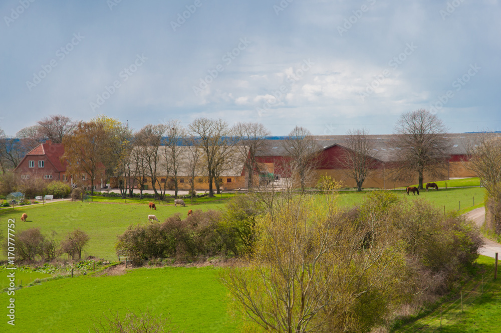 Danish farm Danish farm