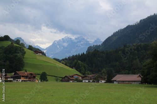 Summer in Alps, Swiss