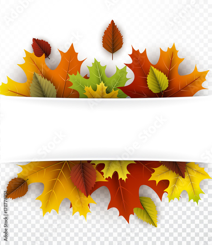 Autumn background with colorful leaves.