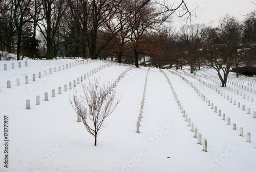 Straight rows of graves in winter at the Arlington National Cemetery in Virginia photo