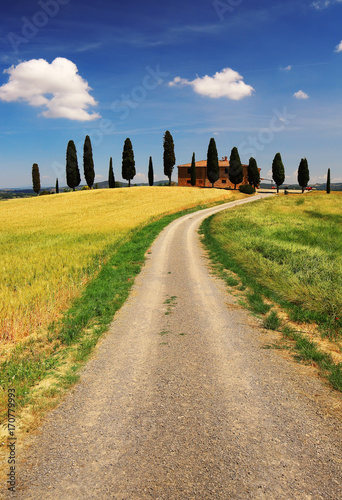 Beautiful landscape from Tuscany  Italy
