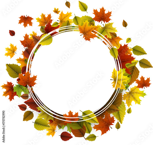 Autumn background with colorful leaves.