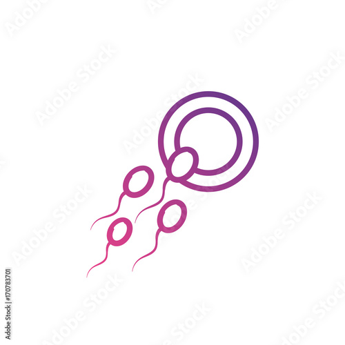 line ovum with spermatozoon to biology fertilizacion procreation vector illustration