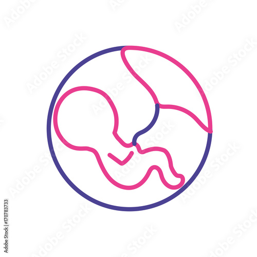 silhouette baby with umbilical cord inside mothers uterus vector illustration