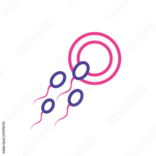 silhouette ovum with spermatozoon to biology fertilizacion procreation vector illustration