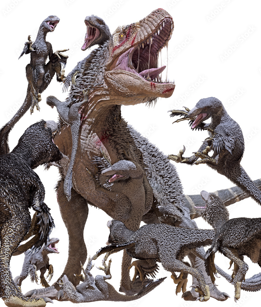 3D rendering of a Tyrannosaurus Rex getting swarmed by a pack of Dakotaraptors isolated on a white background. 3D rendering of a Tyrannosaurus Rex getting swarmed by a pack of Dakotaraptors isolated on a white background.