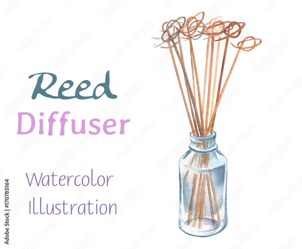 Reed diffuser and scented stick watercolor painting. Scent diffuser handdrawn illustration.