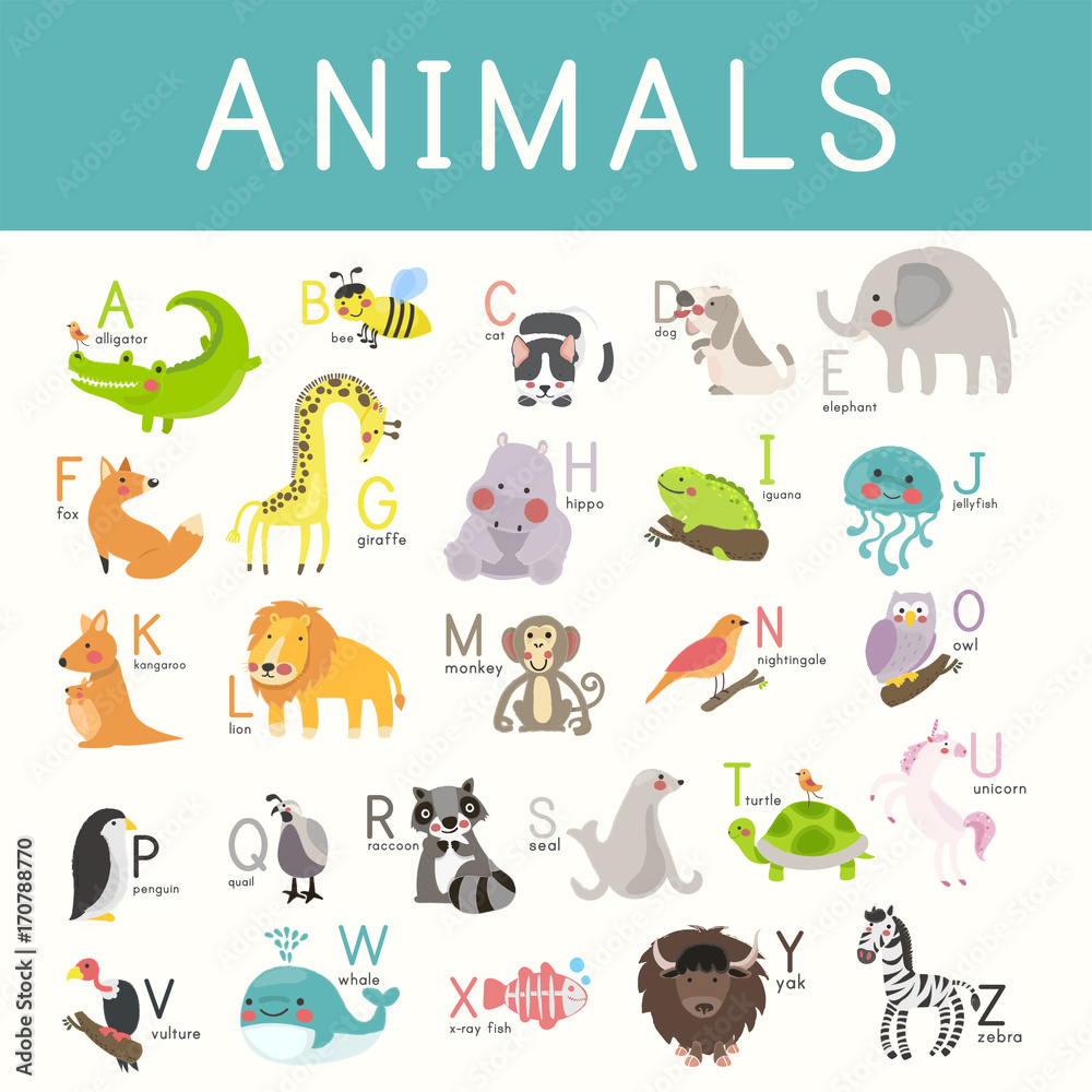 Illustration drawing style set of wildlife Illustration drawing style set of wildlife