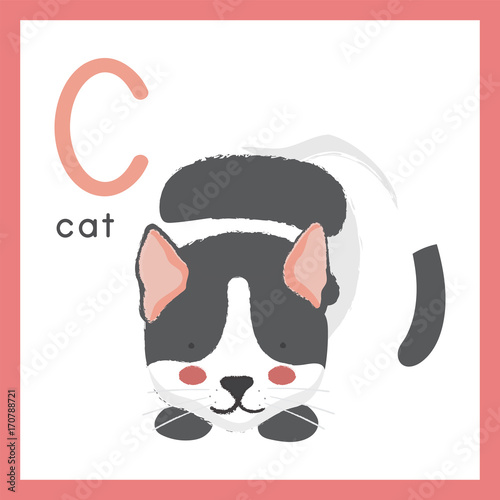 Photography Illustration drawing style set of wildlife