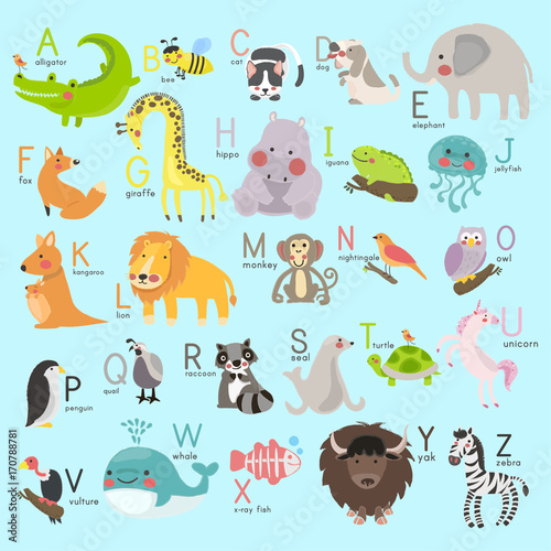 Photography Illustration drawing style set of wildlife