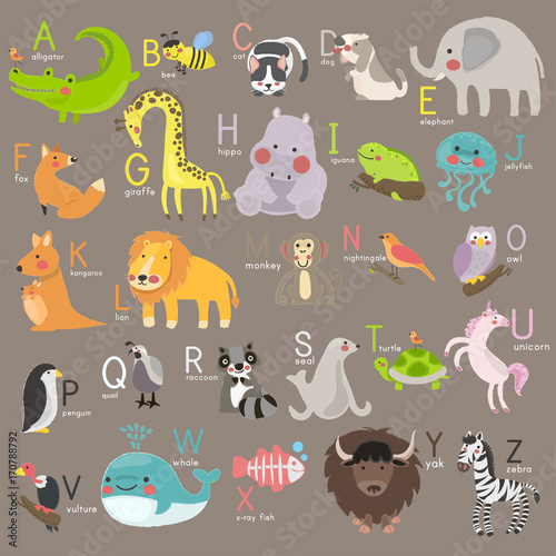 Photography Illustration drawing style set of wildlife