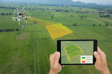 drone for agriculture, smart farmer use drone for various fields like research analysis, terrain scanning technology, monitoring soil hydration, yield problem, take photo and send data to the cloud