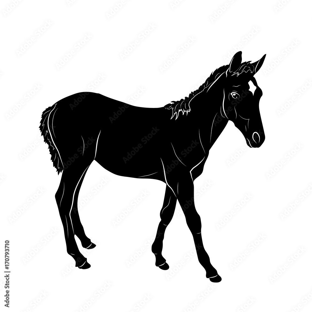 Векторный рисунок чёрный силуэт лошади
