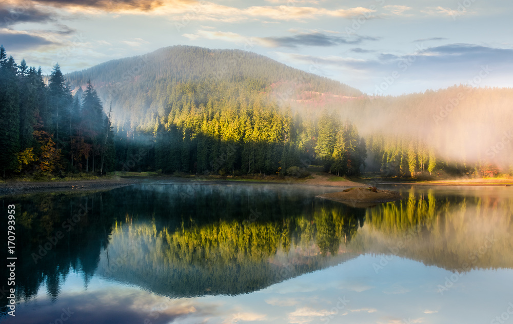 gorgeous foggy sunrise on the lake in forest. lovely autumnal landscape in mountains