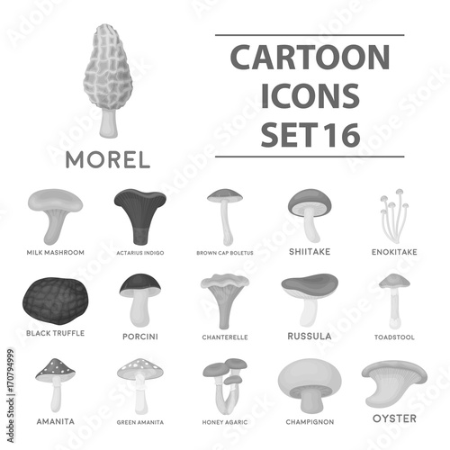 Mushroom set icons in monochrome style. Big collection of mushroom vector symbol stock illustration