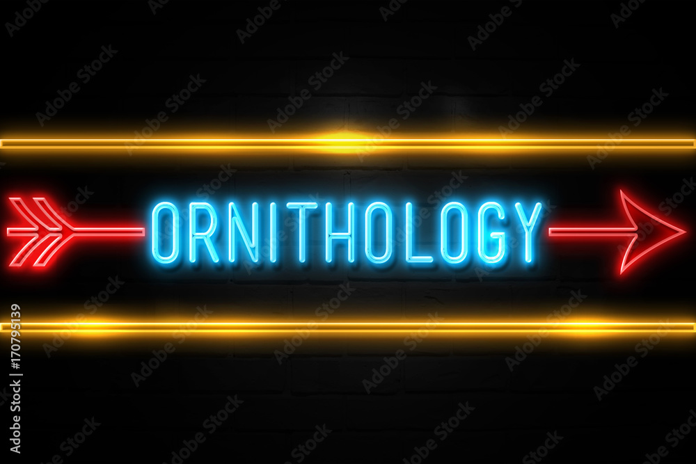 Obraz premium Ornithology - fluorescent Neon Sign on brickwall Front view