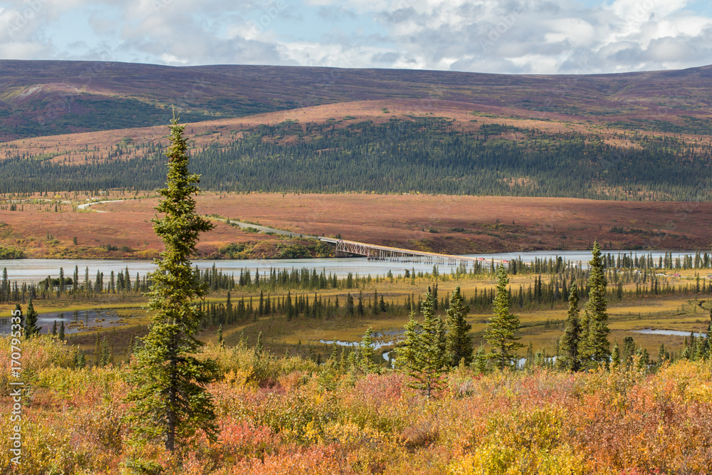Fall Colors at the Susitna River along the Denali Highway