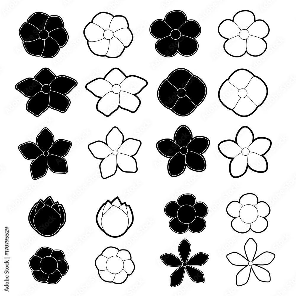 Fototapeta premium White and black flowers on a white background