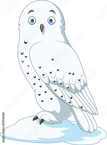 Cartoon arctic owl isolated on white background