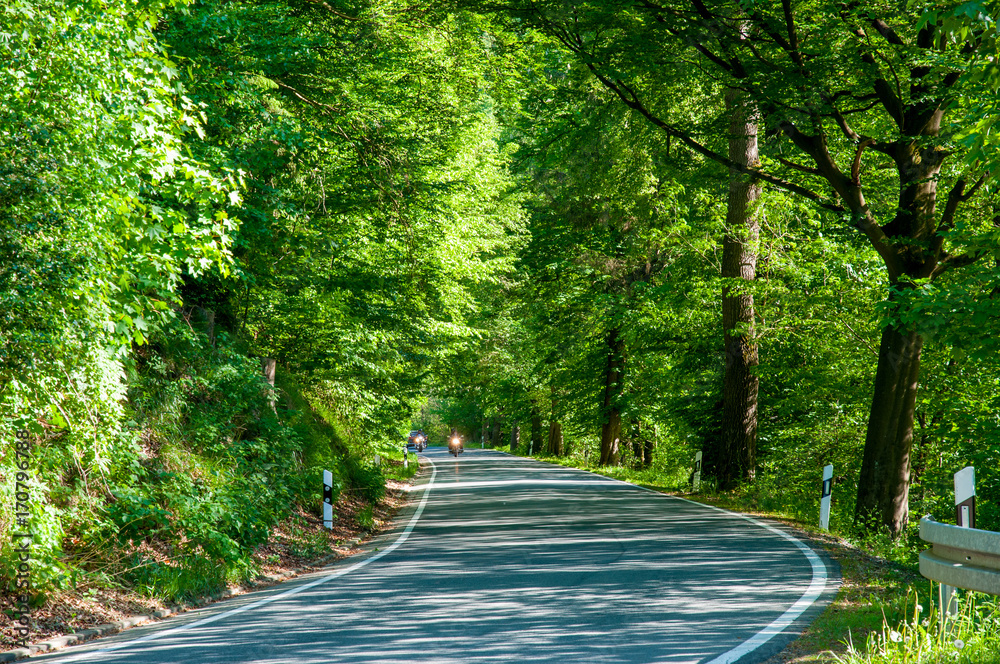 Fototapeta premium Road in the Bode Valley in Germany