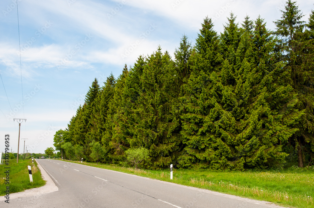 Fototapeta premium Road in Harz in Germany