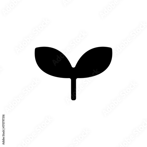 sprout icon