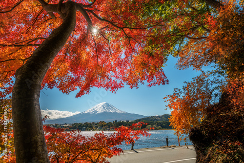 Photography Mount Fuji in Autumn Color, Japan