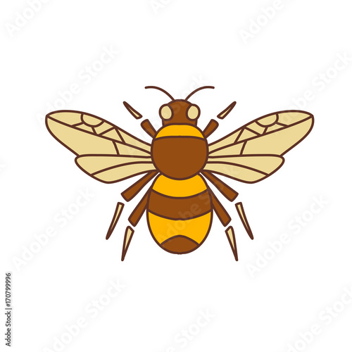 Bumble Bee Icon © patrimonio designs