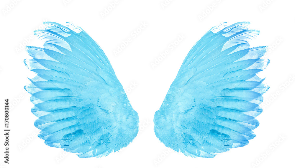 Obraz premium Angel wings