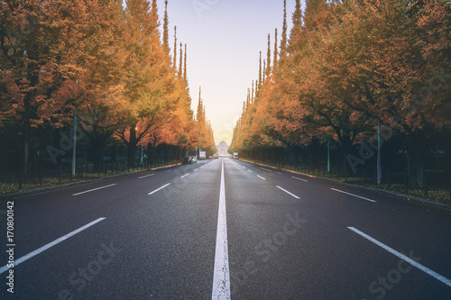 Beautiful road with trees on sideroad in autumn. Straight road with falls nature background shot at Icho Namiki  Road, Tokyo, Japan. photo