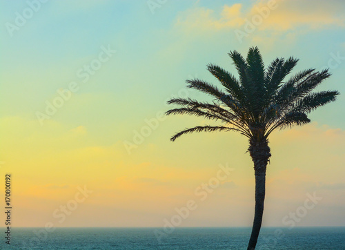 Palm tree sunset over the Mediterranean Sea at Ashkelon, Israel