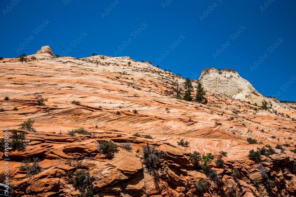 Rocks of weathered sandstone in Zion National Park, Utah, USA