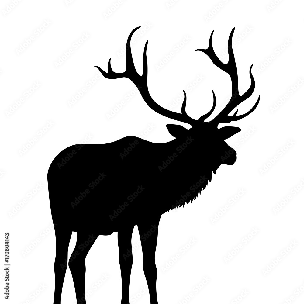 Fototapeta premium deer vector illustration black silhouette