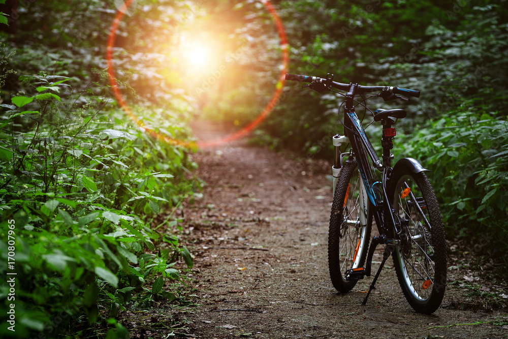 Mountain biking down hill descending fast on bicycle. View from bikers eyes. Mountain biking down hill descending fast on bicycle. View from bikers eyes.
