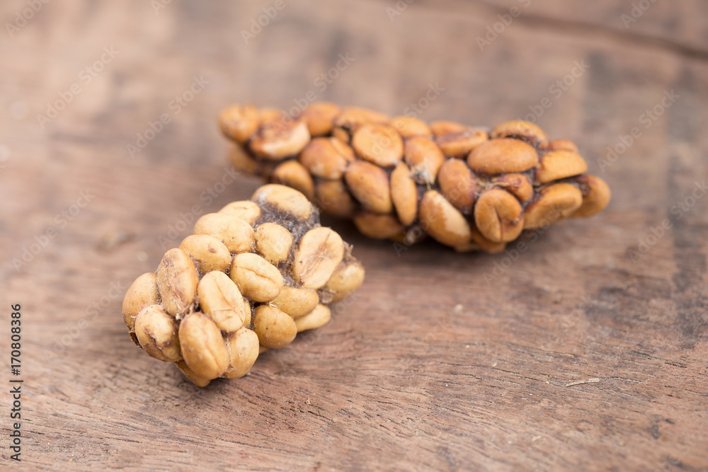 Kopi luwak or civet coffee, Coffee beans excreted by the civet Kopi luwak or civet coffee, Coffee beans excreted by the civet