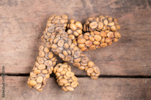 Kopi luwak or civet coffee, Coffee beans excreted by the civet