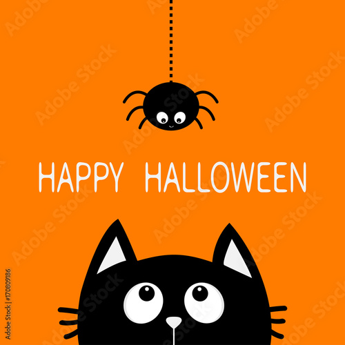 Happy Halloween. Black cat face head silhouette looking up to hanging on dash line web spider insect. Cute cartoon character. Baby pet animal collection. Flat design Orange background.