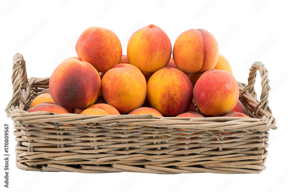 Basket full of fresh peaches isolated on white background. Basket full of fresh peaches isolated on white background.