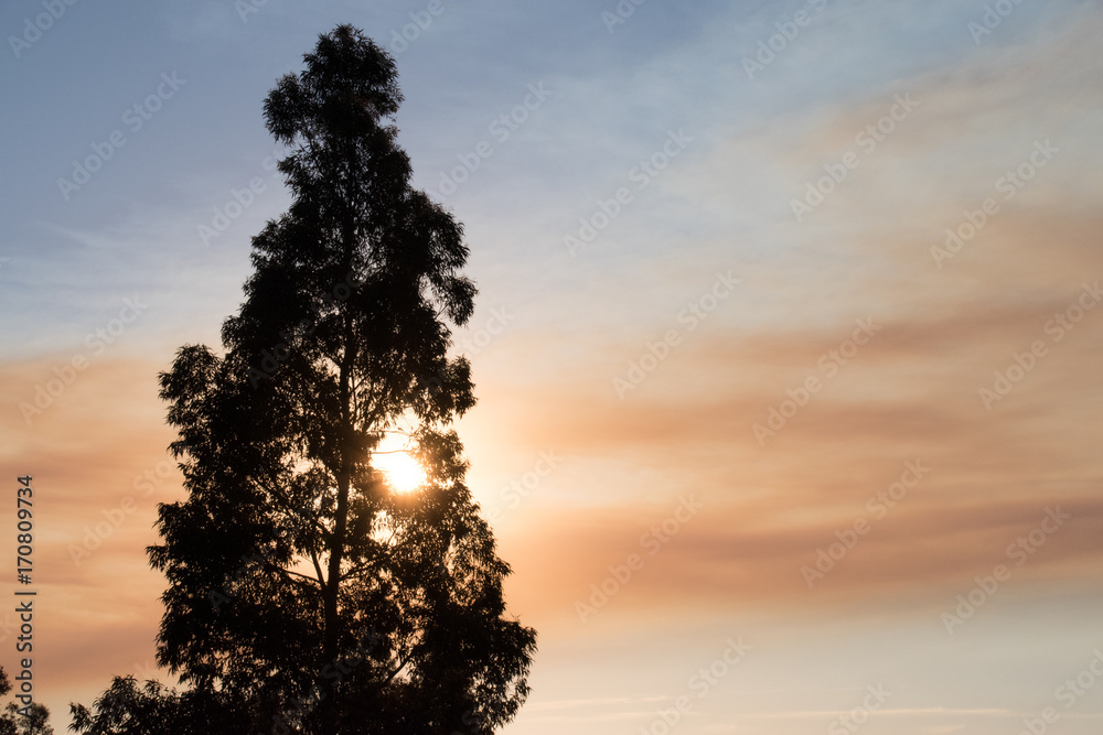 Fototapeta premium Sunset