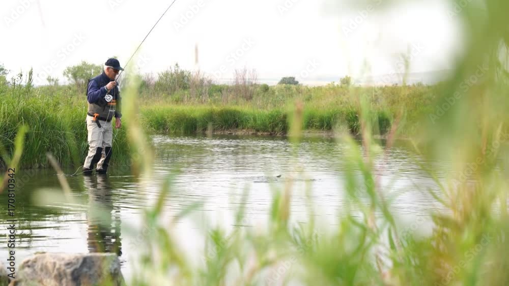 Fly fisherman catching brown trout in river