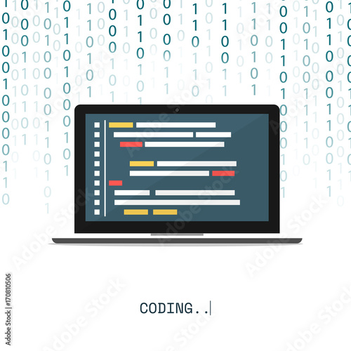 programmer coding binary computer isometric flat vector