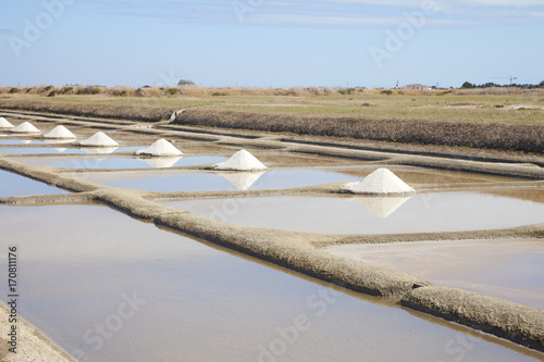 Traditional salt fields on island of Noirmoutier, France