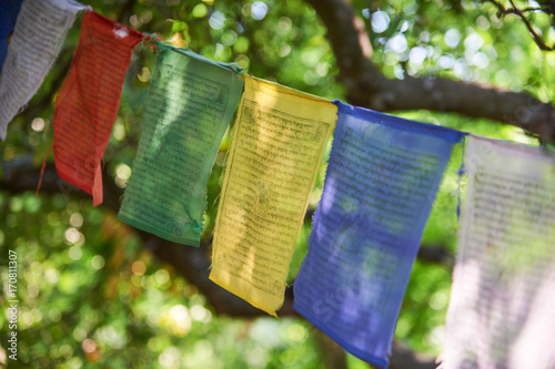 Canvas Print tibetan flags closeup