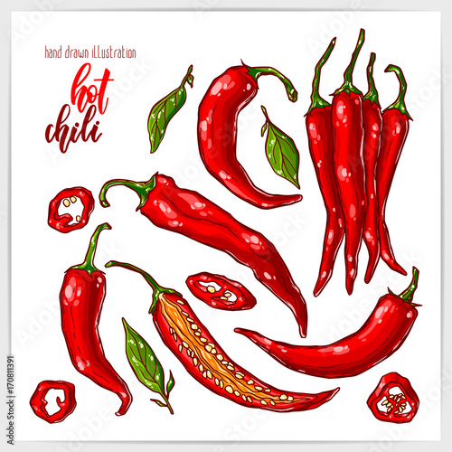 Colorful set of hot and tasty chili pepper, whole and sliced, with leaves. Hand drawn illustration with hand lettering headline.