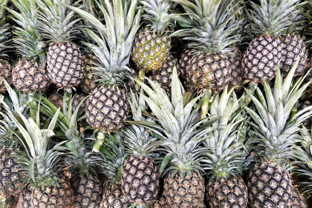 Fresh pineapple in local market Fresh pineapple in local market