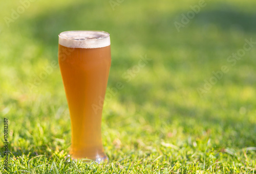 Quadro su tela Gefülltes Bierglas auf einer Wiese