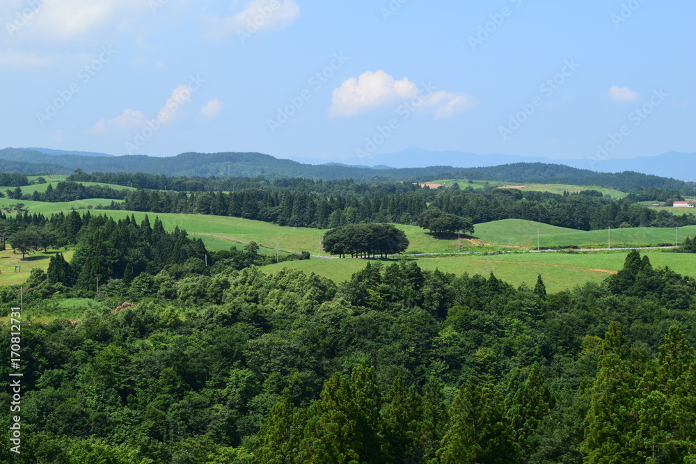 Obraz premium 月山高原牧場 / 山形県鶴岡市羽黒町にある月山高原牧場は、約100haの緑のジュウタンが広がり、雄大な高原の中で牛や羊を眺められます。高原からの眺めは最高で、ひそかな観光ポイントになっています。