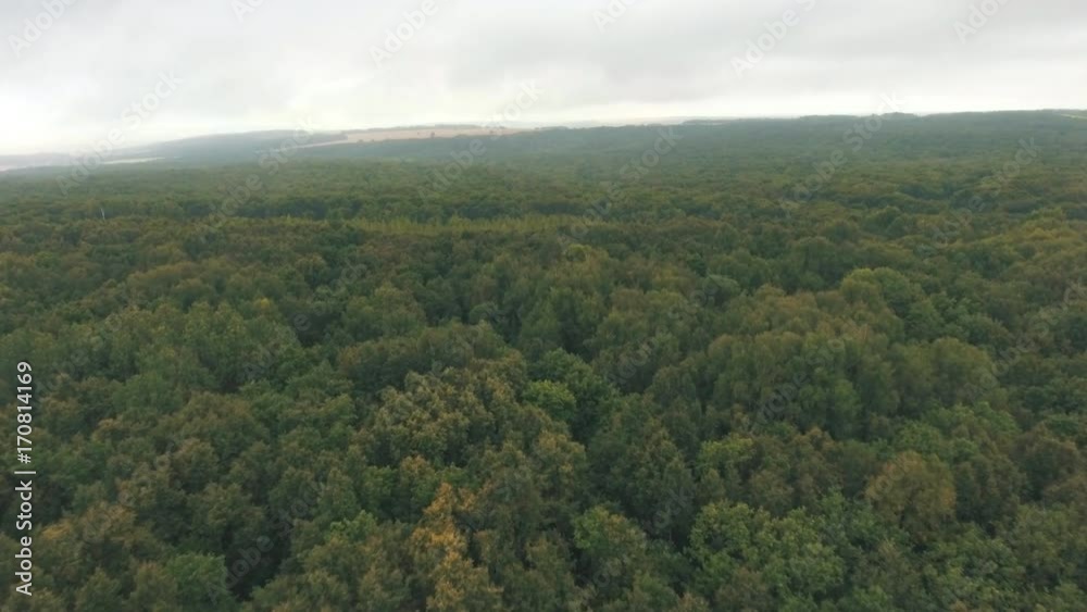 aerial view on forest in russia aerial view on forest in russia